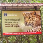 Karnala Bird Sanctuary, Monkey, Nature Trails